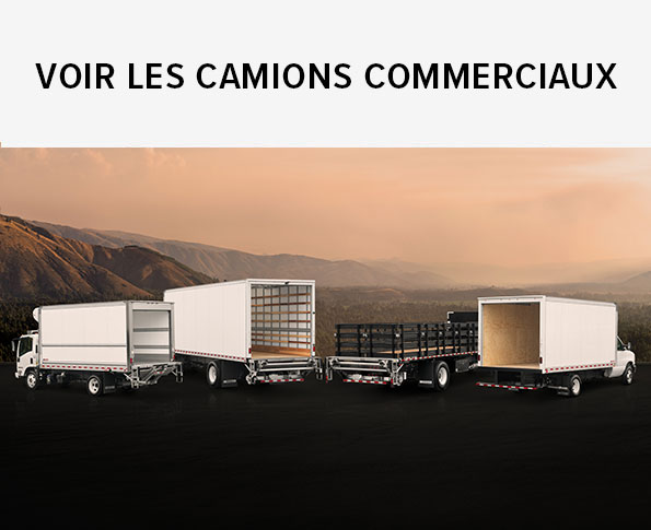 Voir les camions commerciaux